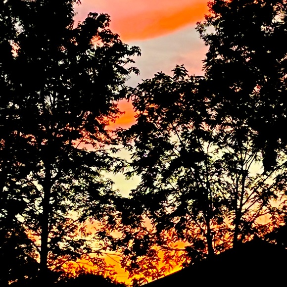 Meet your Poshmark Ambassador, Deb - Picture 16 of 16